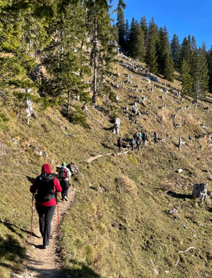 Auf dem Weg Richtung Elbachalm