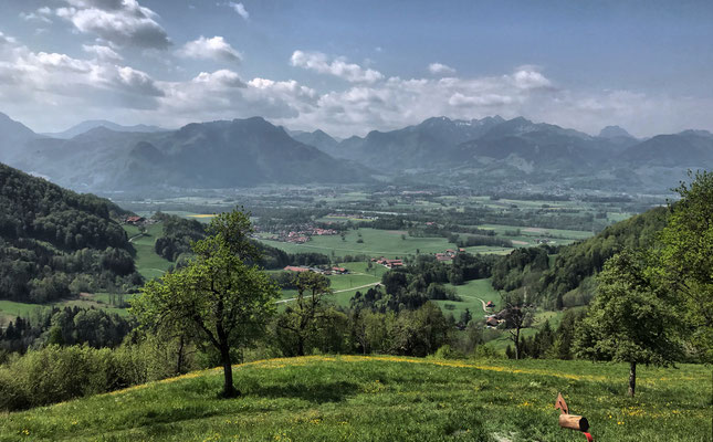 Ausblick von der Dandlberg-Alm