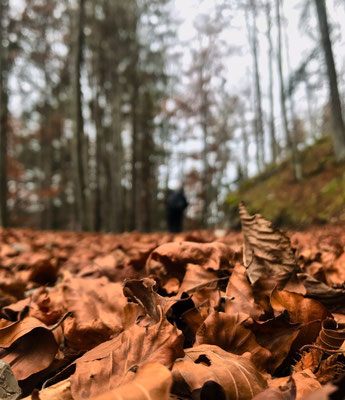Herbstlaub