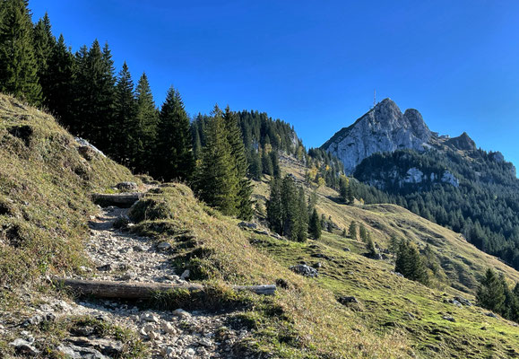 Auf dem Weg