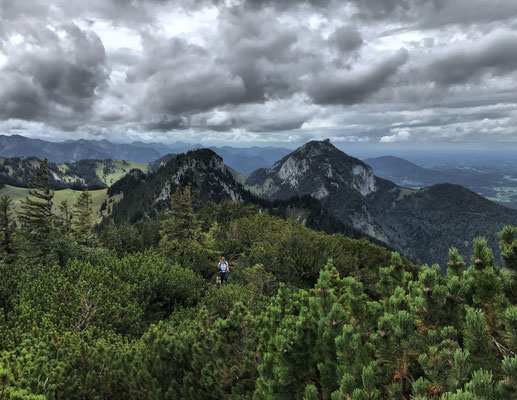 In den Latschen unterhalb der Hochsalwand