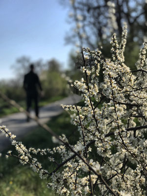 Frühling am Mangfalldamm