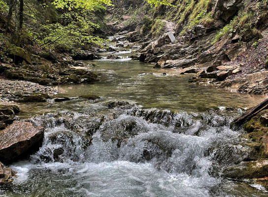 Jenbachsteig