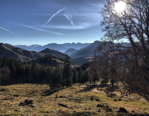Ausblick nach Süden