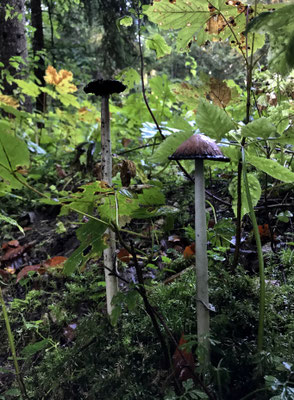 Pilze