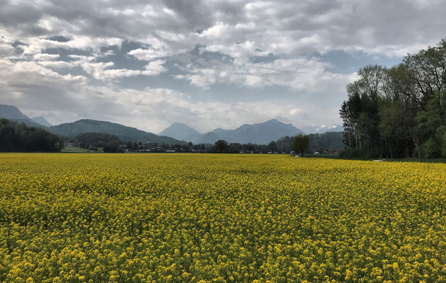 Blick von Anger Richtung Neubeuern