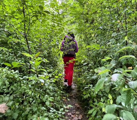 Schmaler Pfad um den Hochstraßer See