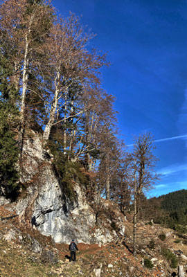 Auf dem Weg ins Arzmoos
