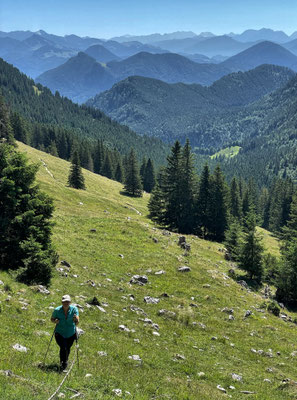 Weglos in Richtung Haidwand