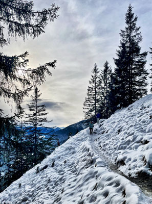 Abstiegsweg Richtung Bayrischzell
