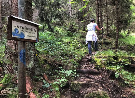 Aufstieg über den Franz-Fischer-Weg zum Alfred-Drexel-Haus