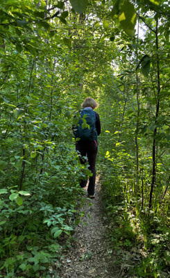 Schmaler Pfad um den Hochstraßer See