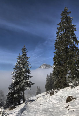 Wintermärchen