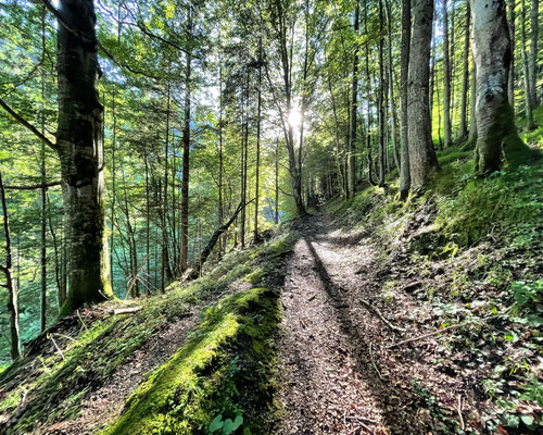 Aufstieg von Bayrischzell zur Alten Tanner-Alm
