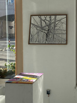Die Neuen: Zoé Edgecomb, Starkstromleitung, Foto: Liss Geißler