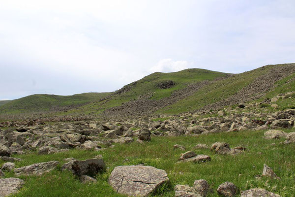 Habitat Vipera darevskii