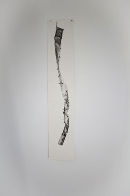 temps-mort - jan17 - encre de chine sur papier Arches, 14x76cm