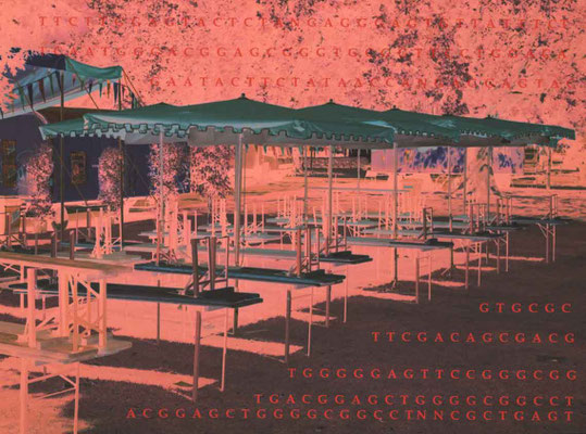 KC Kevin Clarke, Portrait of Hartmann, digital print, 1996, 113 x 84 cm, Editon 5