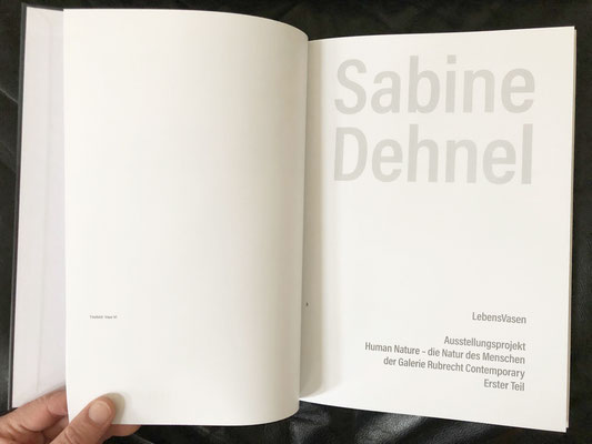 Katalog Sabine Dehnel, Ansichten, erschienen im Hatzfeld Verlag, März 2021