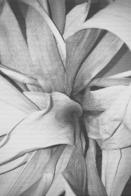 Torsten Pracht - 2021, Blume, Acryl auf Holz, 180x120cm