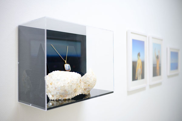 Ausstellungsansicht Sabine Dehnel – LebensVasen, Foto: Josh Schlasius Fotografie