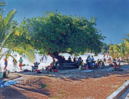 Römer + Römer, Baum an der Blue Bay, 2023, Oel on canvas, 200 x 260 cm
