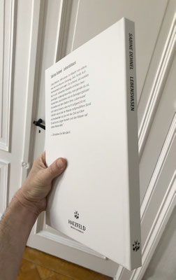Katalog Sabine Dehnel, Ansichten, erschienen im Hatzfeld Verlag, März 2021