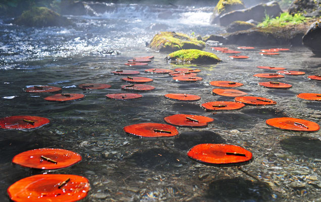 Grindelwald 2014 - Monet's Garden - Ulla & Rolf Klaeger