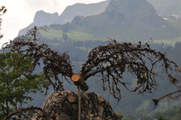 Grindelwald 2008 - Skylife - Ulla & Rolf Klaeger