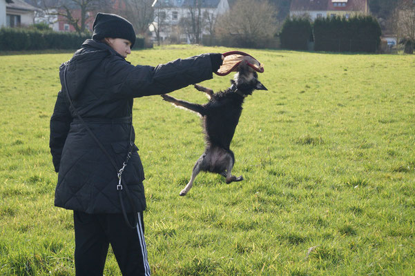 Frisbee spielen