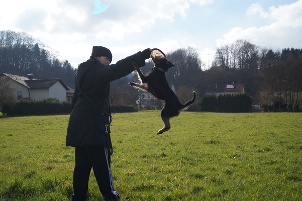 Frisbee spielen