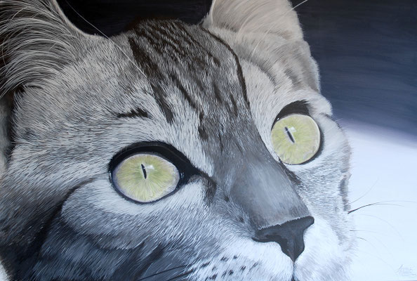 KATZE,  Acryl auf Leinwand, acrylic on canvas, 120/80cm, CHF 1'500.--, Original erhältlich/available, Prints erhältlich/available
