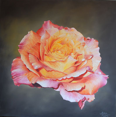 SINGLE ROSE, Acryl auf Leinwand, acrylic on canvas, 80/80cm, Original verkauft/sold
