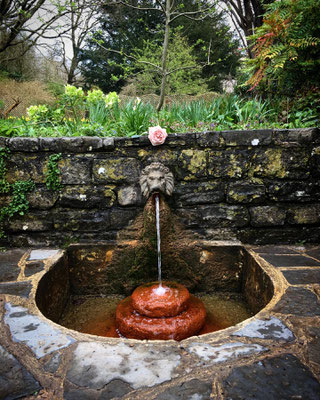 Source rouge, Chalice Well