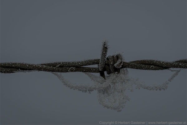 Frost (schwarz-weiß) | Foto: Herbert Gasteiner