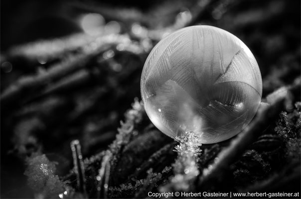 Seifenblase (schwarz-weiß) | Foto: Herbert Gasteiner