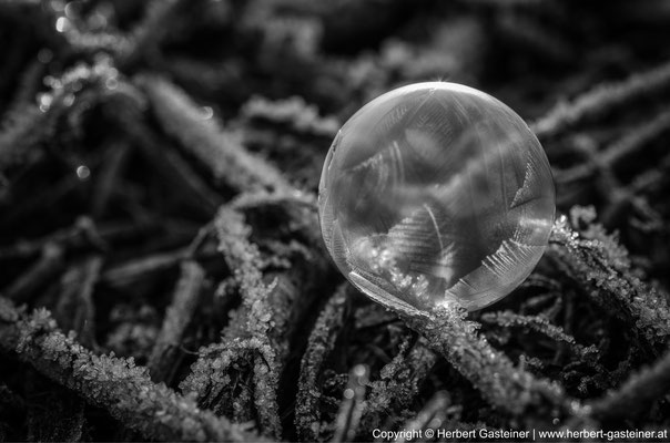 Seifenblase (schwarz-weiß) | Foto: Herbert Gasteiner