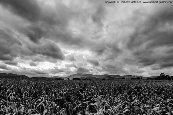 Wolken (schwarz-weiß) | Foto: Herbert Gasteiner