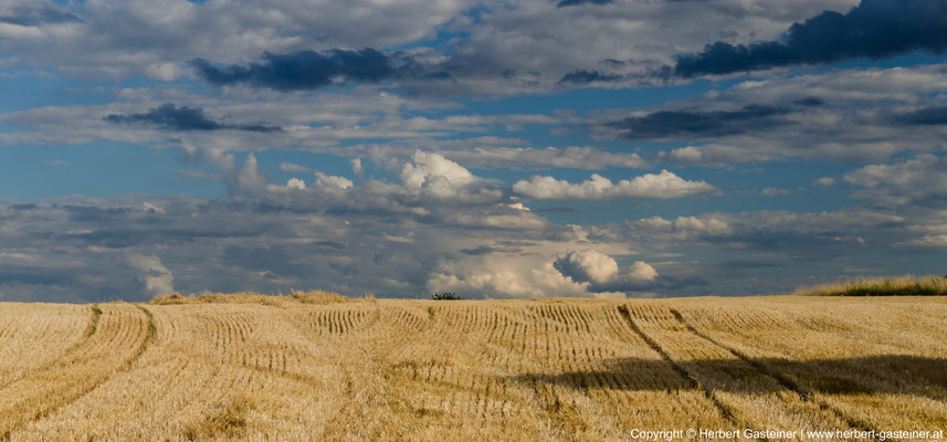 Sommer, abgeerntetes Feld, Wolken | Foto: Herbert Gasteiner