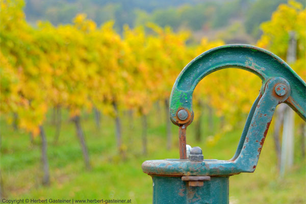 Brunnen, Weingarten | Foto: Herbert Gasteiner