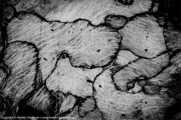 Holzstruktur (schwarz-weiß) | Foto: Herbert Gasteiner