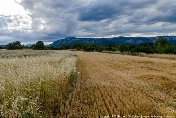 Sommer, abgeerntetes Feld, Wolken | Foto: Herbert Gasteiner