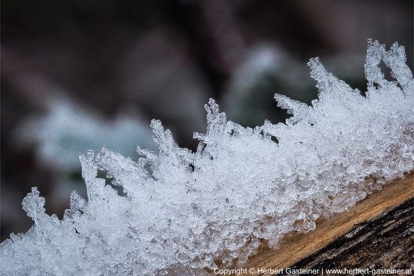 Holz; Eiskristalle | Foto: Herbert Gasteiner
