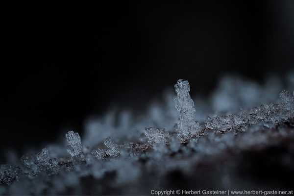 Eiskristalle | Foto: Herbert Gasteiner