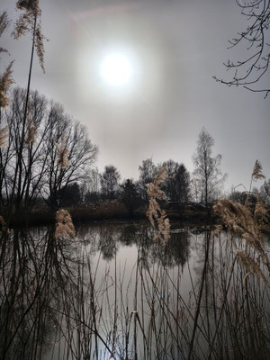 ©Matthias Müller
