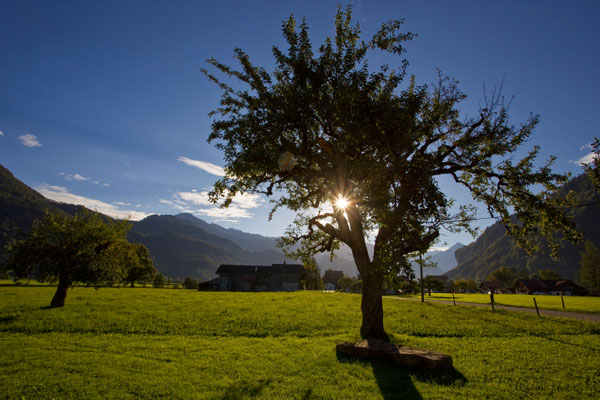Unterbach | Bern