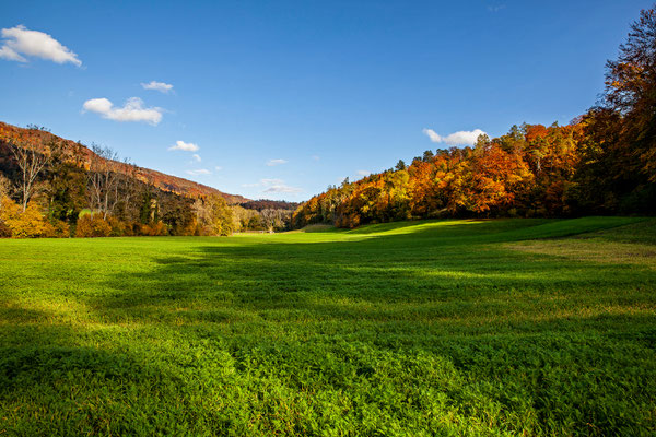 Eigi Wettingen | Schweiz