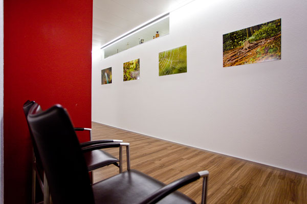 Fotoausstellung DZW