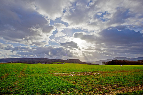 Habsburger Wald | Aargau | Schweiz