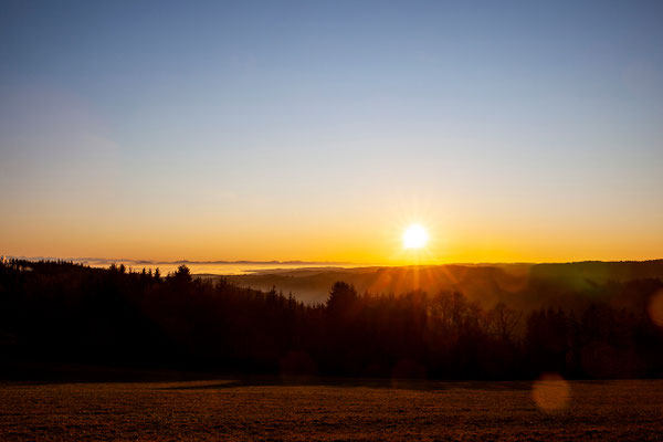 Schwarzwald | Deutschland